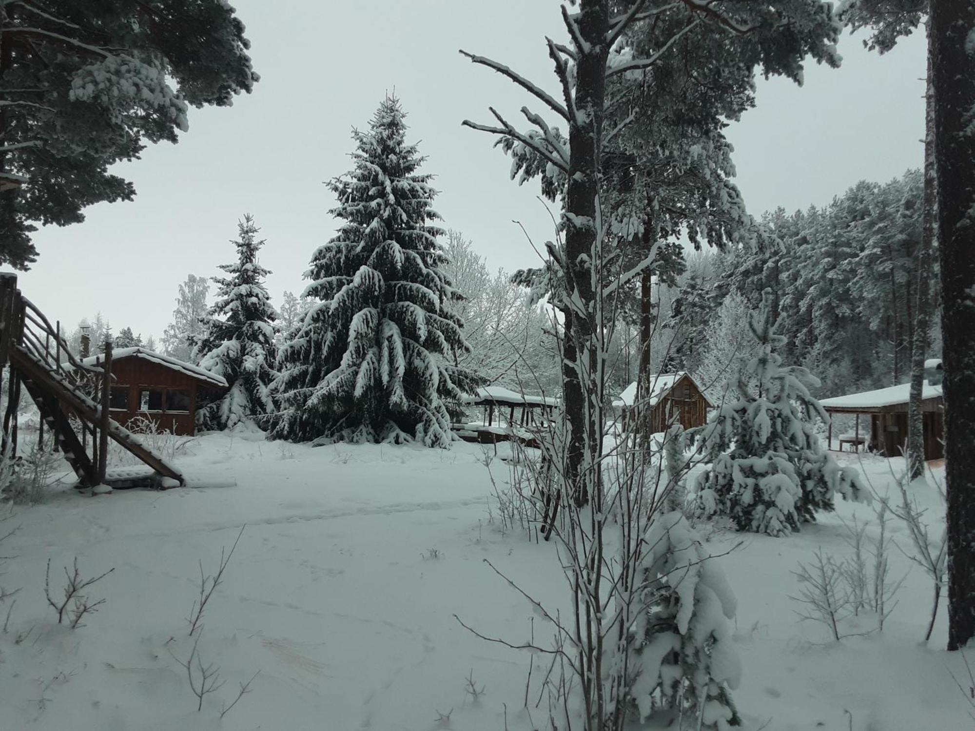 Elulong Camping Lohusuu 외부 사진