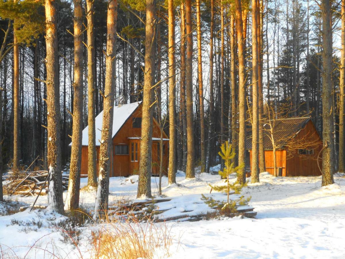 Elulong Camping Lohusuu 외부 사진